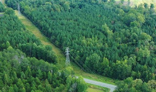 Photo #19 of SOLD property in Off Brook Cove Road, Walnut Cove, NC 42.9 acres