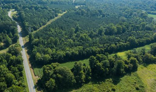 Photo #4 of SOLD property in Off Brook Cove Road, Walnut Cove, NC 42.9 acres