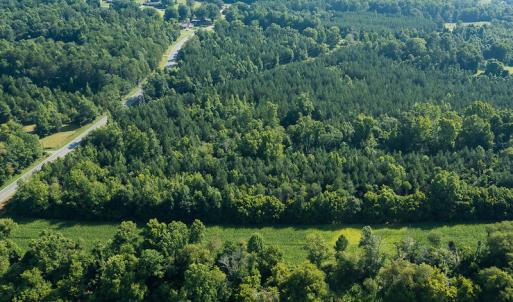 Photo #6 of SOLD property in Off Brook Cove Road, Walnut Cove, NC 42.9 acres