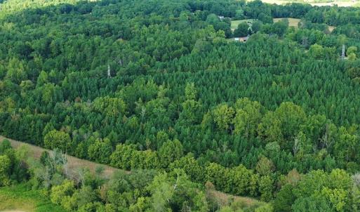 Photo #7 of SOLD property in Off Brook Cove Road, Walnut Cove, NC 42.9 acres