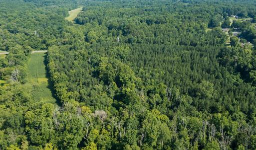 Photo #8 of SOLD property in Off Brook Cove Road, Walnut Cove, NC 42.9 acres
