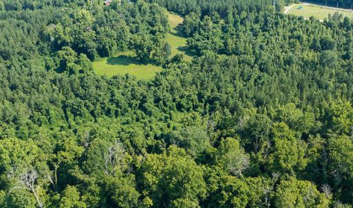 Photo #10 of SOLD property in Off Brook Cove Road, Walnut Cove, NC 42.9 acres