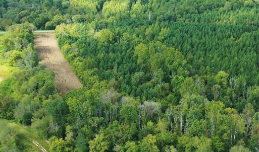 Photo #11 of SOLD property in Off Brook Cove Road, Walnut Cove, NC 42.9 acres