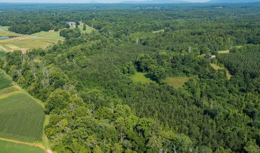 Photo #12 of SOLD property in Off Brook Cove Road, Walnut Cove, NC 42.9 acres