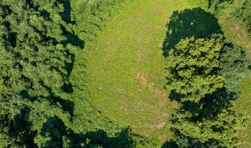 Photo #14 of SOLD property in Off Brook Cove Road, Walnut Cove, NC 42.9 acres