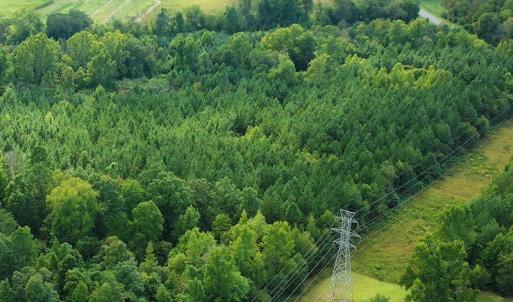 Photo #15 of SOLD property in Off Brook Cove Road, Walnut Cove, NC 42.9 acres