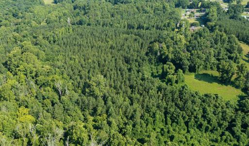 Photo #16 of SOLD property in Off Brook Cove Road, Walnut Cove, NC 42.9 acres