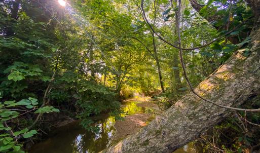 Photo #17 of SOLD property in Off Brook Cove Road, Walnut Cove, NC 42.9 acres