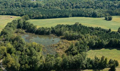 Photo #3 of SOLD property in 1581 Brook Cove Road, Walnut Cove, NC 78.4 acres