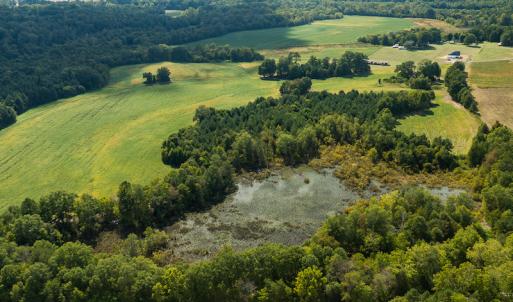 Photo #4 of SOLD property in 1581 Brook Cove Road, Walnut Cove, NC 78.4 acres