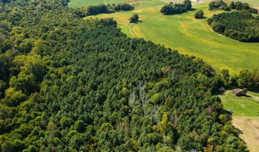 Photo #6 of SOLD property in 1581 Brook Cove Road, Walnut Cove, NC 78.4 acres