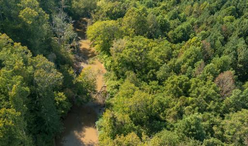 Photo #7 of SOLD property in 1581 Brook Cove Road, Walnut Cove, NC 78.4 acres