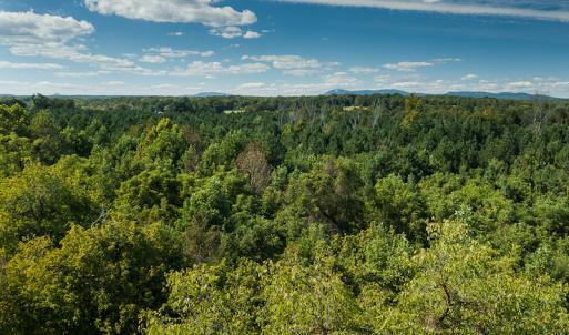 Photo #10 of SOLD property in 1581 Brook Cove Road, Walnut Cove, NC 78.4 acres