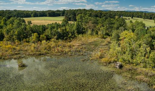 Photo #13 of SOLD property in 1581 Brook Cove Road, Walnut Cove, NC 78.4 acres