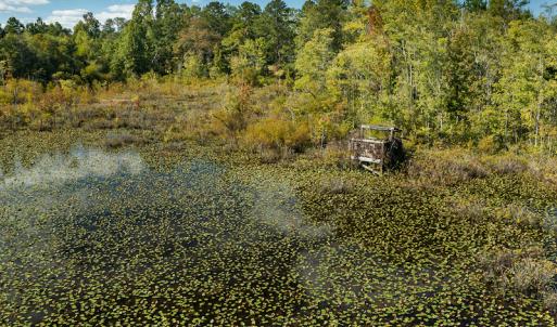Photo #14 of SOLD property in 1581 Brook Cove Road, Walnut Cove, NC 78.4 acres