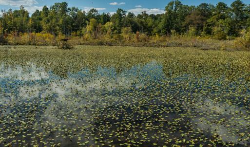 Photo #16 of SOLD property in 1581 Brook Cove Road, Walnut Cove, NC 78.4 acres