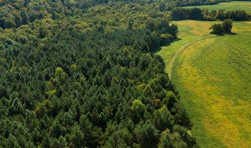 Photo #19 of SOLD property in 1581 Brook Cove Road, Walnut Cove, NC 78.4 acres