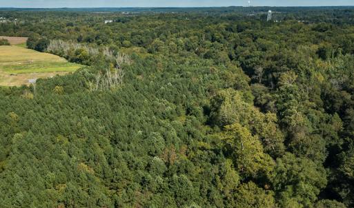 Photo #23 of SOLD property in 1581 Brook Cove Road, Walnut Cove, NC 78.4 acres