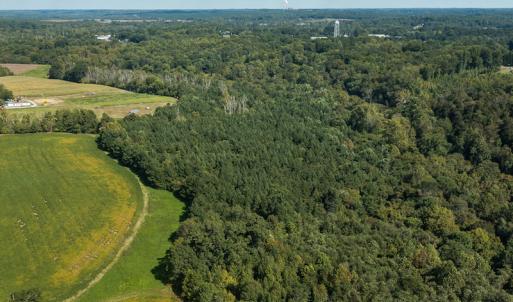 Photo #25 of SOLD property in 1581 Brook Cove Road, Walnut Cove, NC 78.4 acres