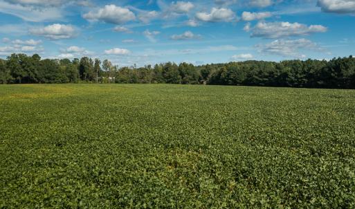 Photo #28 of SOLD property in 1581 Brook Cove Road, Walnut Cove, NC 78.4 acres