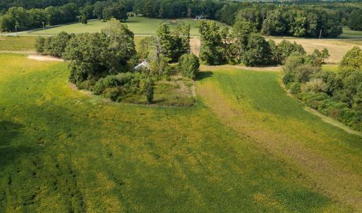Photo #29 of SOLD property in 1581 Brook Cove Road, Walnut Cove, NC 78.4 acres