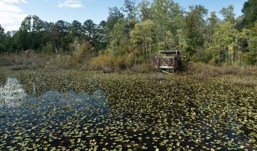 Photo #30 of SOLD property in 1581 Brook Cove Road, Walnut Cove, NC 78.4 acres