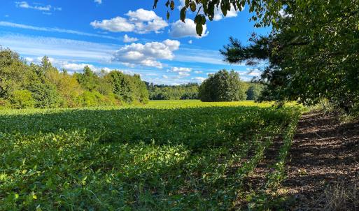 Photo #31 of SOLD property in 1581 Brook Cove Road, Walnut Cove, NC 78.4 acres