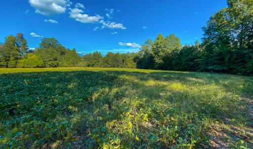 Photo #34 of SOLD property in 1581 Brook Cove Road, Walnut Cove, NC 78.4 acres