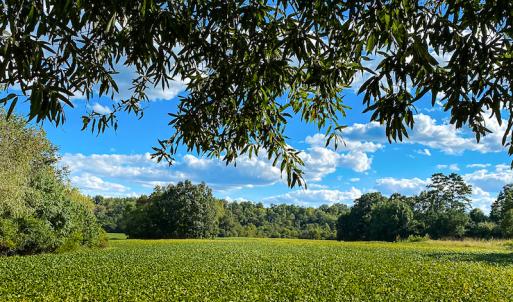 Photo #36 of SOLD property in 1581 Brook Cove Road, Walnut Cove, NC 78.4 acres
