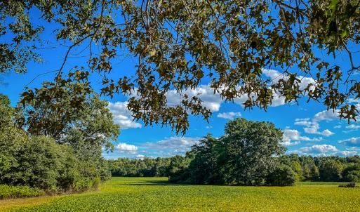Photo #38 of SOLD property in 1581 Brook Cove Road, Walnut Cove, NC 78.4 acres