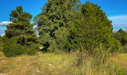 Photo #39 of SOLD property in 1581 Brook Cove Road, Walnut Cove, NC 78.4 acres