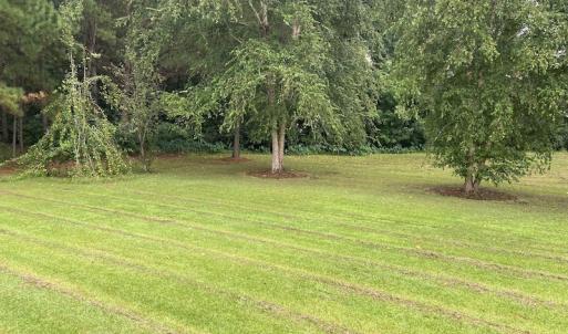 Photo #7 of SOLD property in 883 Beaverdam Road, Clarendon, NC 3.0 acres
