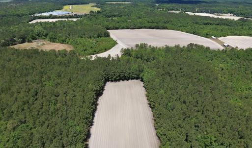 Photo #10 of SOLD property in Off Hwy 210, Garland, NC 656.0 acres