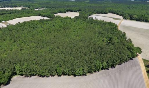 Photo #11 of SOLD property in Off Hwy 210, Garland, NC 656.0 acres