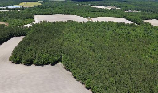 Photo #12 of SOLD property in Off Hwy 210, Garland, NC 656.0 acres