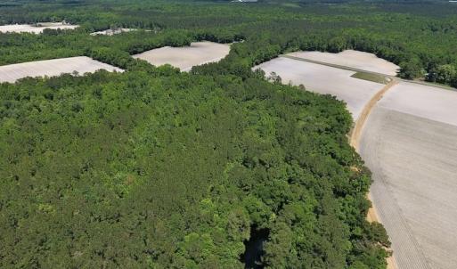 Photo #13 of SOLD property in Off Hwy 210, Garland, NC 656.0 acres