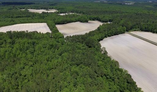 Photo #14 of SOLD property in Off Hwy 210, Garland, NC 656.0 acres