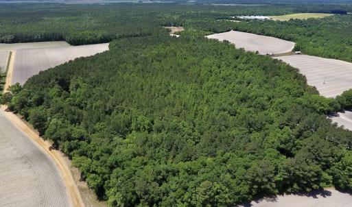 Photo #15 of SOLD property in Off Hwy 210, Garland, NC 656.0 acres