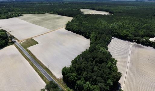 Photo #3 of SOLD property in Off Hwy 210, Garland, NC 656.0 acres