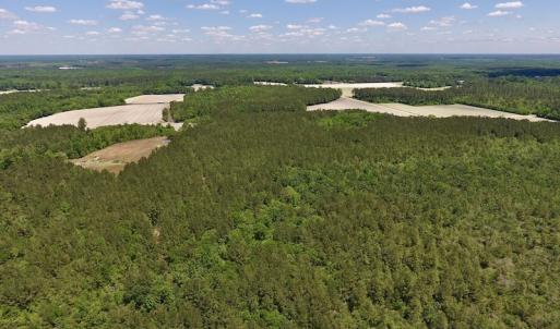 Photo #17 of SOLD property in Off Hwy 210, Garland, NC 656.0 acres