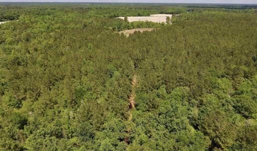Photo #18 of SOLD property in Off Hwy 210, Garland, NC 656.0 acres