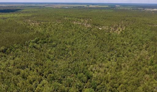 Photo #20 of SOLD property in Off Hwy 210, Garland, NC 656.0 acres