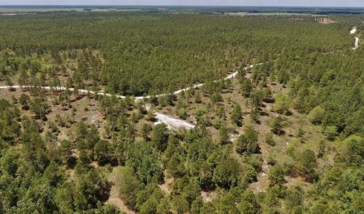 Photo #21 of SOLD property in Off Hwy 210, Garland, NC 656.0 acres