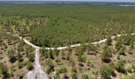 Photo #22 of SOLD property in Off Hwy 210, Garland, NC 656.0 acres