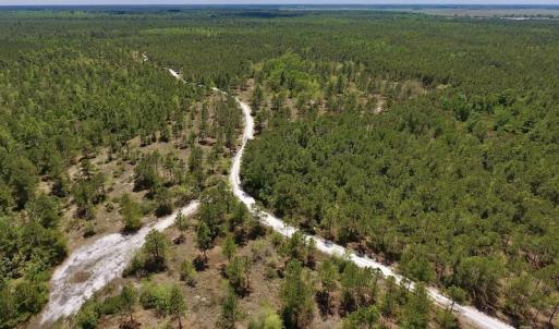 Photo #23 of SOLD property in Off Hwy 210, Garland, NC 656.0 acres
