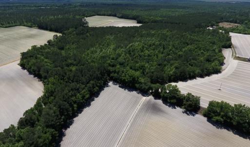 Photo #4 of SOLD property in Off Hwy 210, Garland, NC 656.0 acres