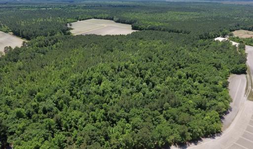 Photo #5 of SOLD property in Off Hwy 210, Garland, NC 656.0 acres