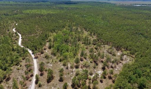 Photo #24 of SOLD property in Off Hwy 210, Garland, NC 656.0 acres