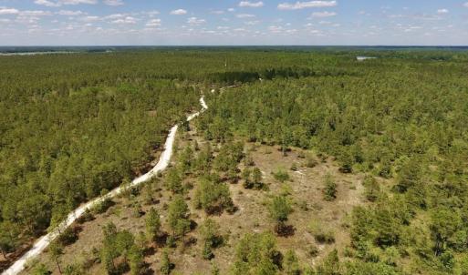 Photo #25 of SOLD property in Off Hwy 210, Garland, NC 656.0 acres