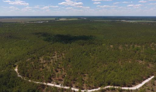 Photo #26 of SOLD property in Off Hwy 210, Garland, NC 656.0 acres